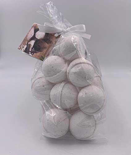 Spa Pure Coconut Vanilla Bath Bombs: 14 Coconut Vanilla Bath Bomb Fizzies with Shea Butter (Ultra Moisturizing) 1 Oz Each Great for Dry Skin (Coconut Vanilla)