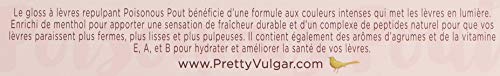 Pretty Vulgar - Poisonous Pout Plumping Lipgloss, Cruelty-Free (Pick Your Poison)