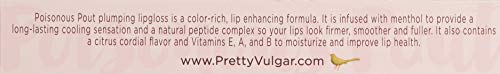 Pretty Vulgar - Poisonous Pout Plumping Lipgloss, Cruelty-Free (Pick Your Poison)