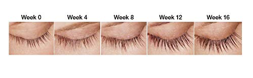 DERMAWORKS Lash Serum for Eyelash Growth - Eyelash Serum Growth - Eyelash Growth Serum - Eye Lash Serum Growth - Lash Growth Serum - Eyelash Enhancing Serum - Suero para Pestañas Crecimiento (XL)