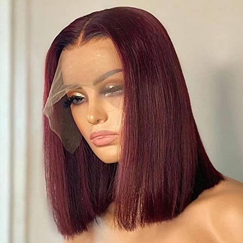 Fushen hair Short Lace Front Wigs Human Hair Curly Wigs Full Lace Brazilian Virgin Wigs (14inch, 99J)