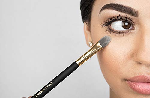 Billion Dollar Brows Concealer Brush