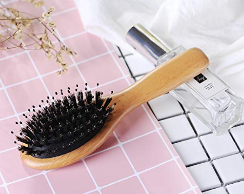 Boar Bristle Hair Brush for Men/Women/Kids - Mini Natural Beech Wood Professional Detangler Hairbrush for Pocket/Purse/Travel, Giftbox Included