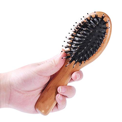 Boar Bristle Hair Brush for Men/Women/Kids - Mini Natural Beech Wood Professional Detangler Hairbrush for Pocket/Purse/Travel, Giftbox Included