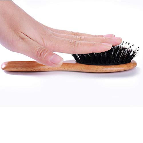 Boar Bristle Hair Brush for Men/Women/Kids - Mini Natural Beech Wood Professional Detangler Hairbrush for Pocket/Purse/Travel, Giftbox Included