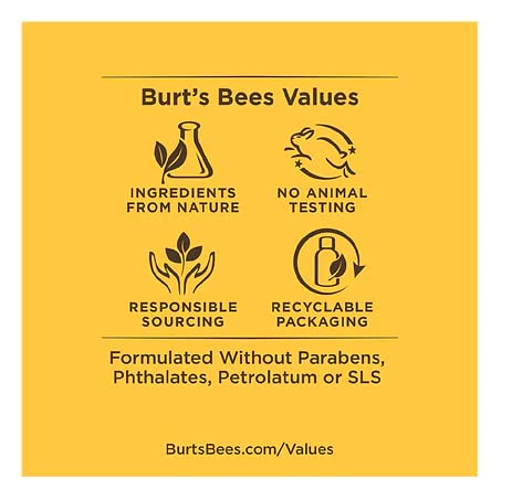 Burt's Bees Naturally Clean Hand Soap