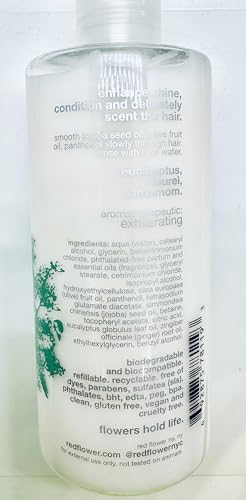 Red Flower Ocean Smoothing Hair Conditioner, 10.2 fl. oz.