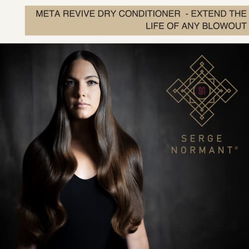 Serge Normant Meta Revive Dry Conditioner, Volumizing Spray Conditioner, Post Blowout Treatment, Revive Dry Hair, Anti-Frizz, Smooth, Silky, Soft, Double Award Winning, 3.2 oz.