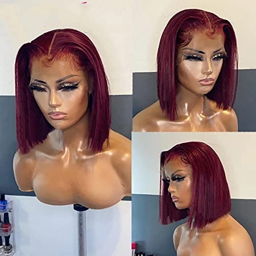 Fushen hair Short Lace Front Wigs Human Hair Curly Wigs Full Lace Brazilian Virgin Wigs (14inch, 99J)