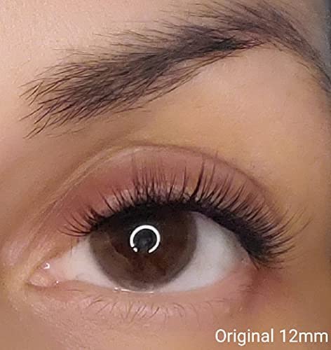 Lilac St - Originals Natural Faux Eyelash Clusters (10mm) - Soft, Natural Look - DIY Lash Extension Wisps - Lightweight & Lifelike - Lasts 10 Days - Cruelty Free, Vegan, Women Founded - 10 Lashes