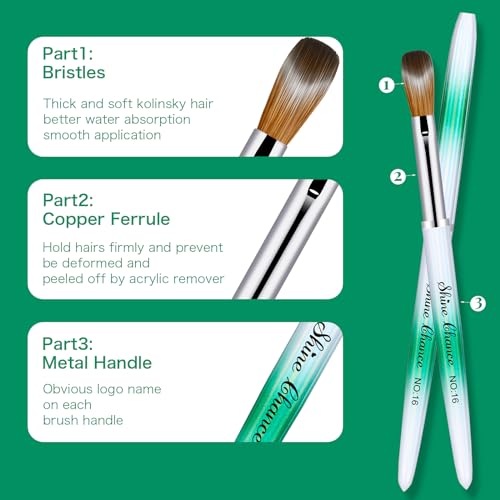 Shine Chance 6Pcs Acrylic Nail Brushes Set, Kolinsky Acrylic Nail Art Brush, Art Design & Polish Mistake Cleaning Manicure Tools for Women Acrylic Application (Size 2 6 8 10 14 16)