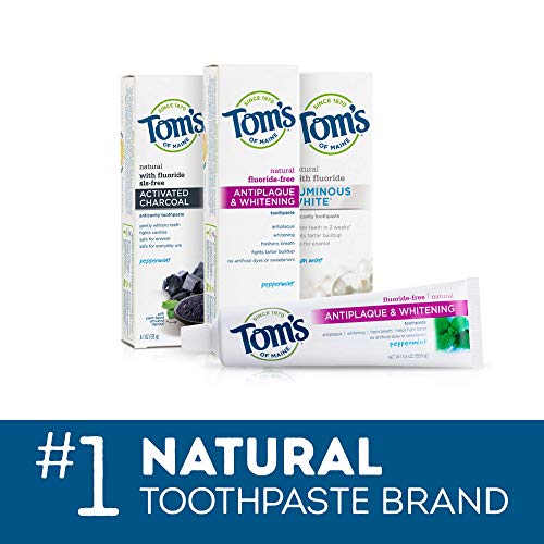 Tom's of Maine Natural Toddler Training Toothpaste, Mild Fruit, 1 Count (Pack of 6)