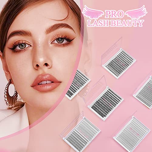 280 Pcs Individual Lashes 50D-D-0.07-14 Cluster Lashes C D Curl Wispy Lashes Bottom Lashes DIY Lashes At Home（50D-D-0.07-14）