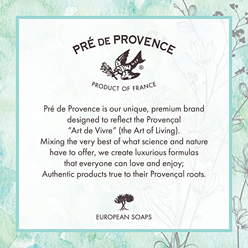 Pre de Provence Artisanal Soap Bar, Enriched with Organic Shea Butter, Natural French Skincare, Quad Milled for Rich Smooth Lather, Raspberry, 8.8 Ounce