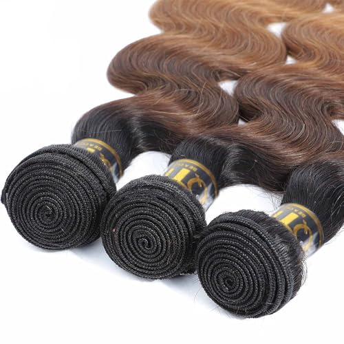 QTHAIR 14A Grade Ombre Body Wave Hair 1 Bundle Brazilian Body Wave Weave 100% Human Hair Extensions 3 Tone 1b 4 27 Color Ombre Human Hair Bundle for Black Women 26"