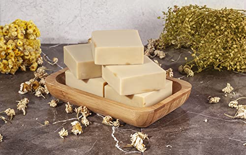 Olive Oil Soap Bar - Handmade 100% Pure Natural & Vegan (5 Bars)