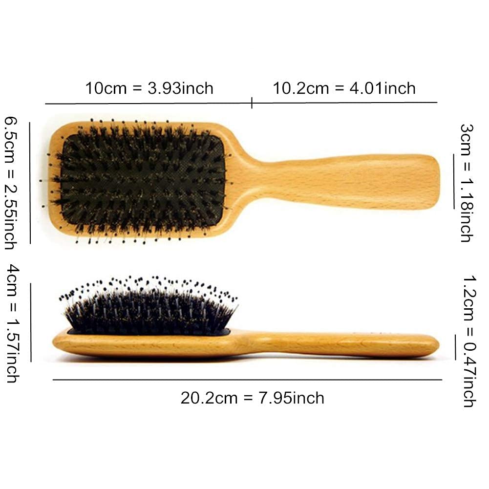 Boar Bristle Hair Brush - Textention Mini Natural Beech Wood Handle Cushion Massage Detangling Hair Brush for Pocket/Travel Size/Gift for Kids and Adults