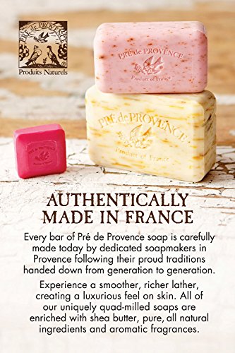 Pre de Provence Artisanal Soap Bar, Enriched with Organic Shea Butter, Natural French Skincare, Quad Milled for Rich Smooth Lather, Raspberry, 8.8 Ounce