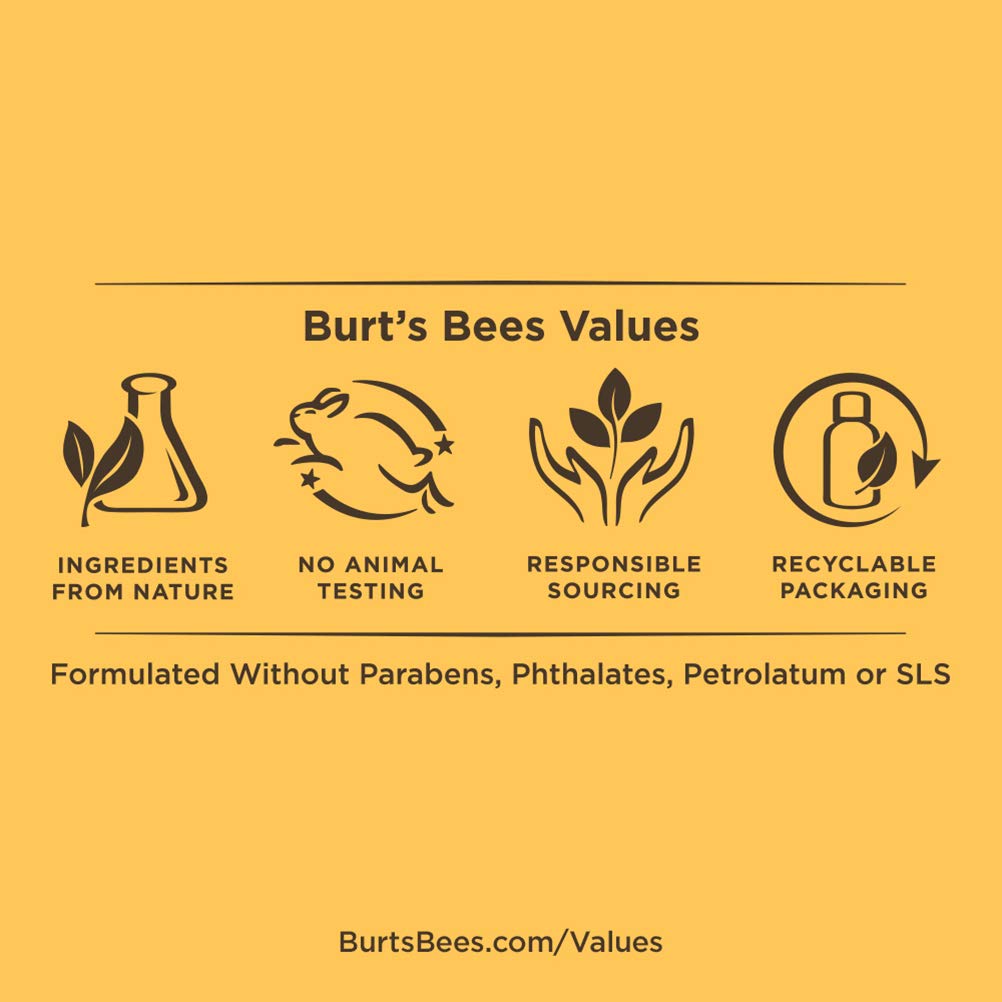 Burt’s Bees Sweet Treat Collection