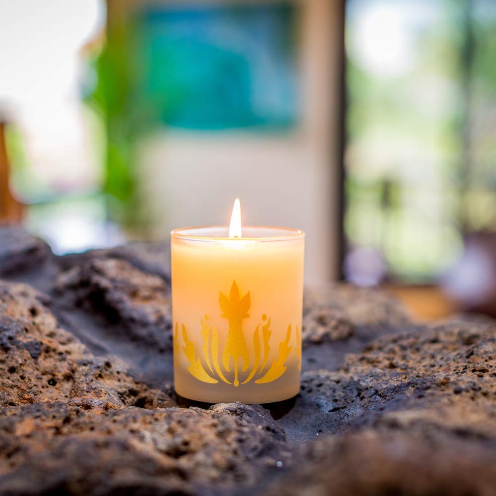 Malie's Plumeria 8 Oz Scented Soy Candle with clean-burning waxes & Hawaiian Aromatherapy, relax and immerse yourself in the serene air of the Hawaiian tropics.