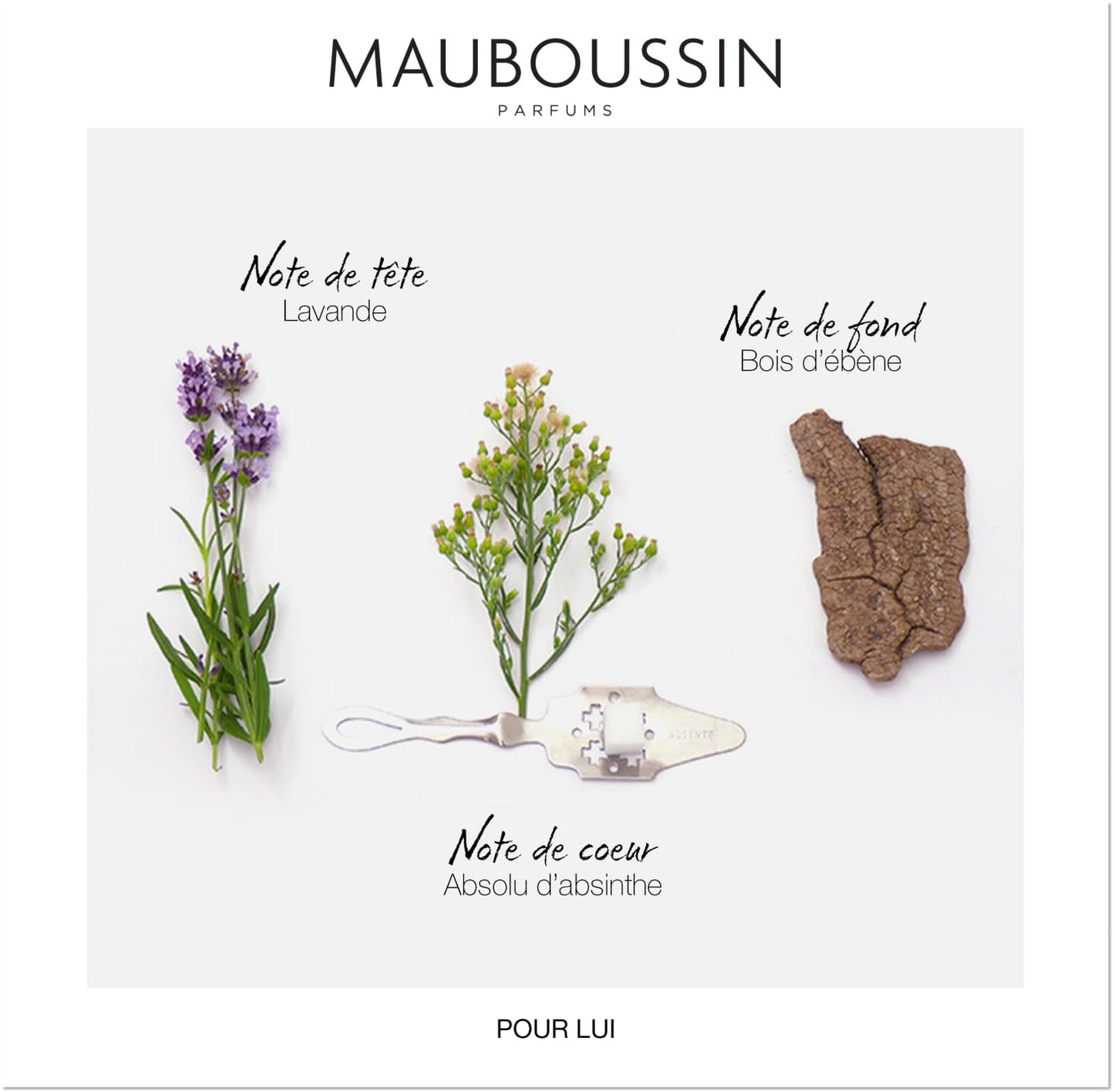 Mauboussin - Pour Lui 100ml (3.3 Fl Oz) - Eau de Parfum for Men - Fern & Modern Scents