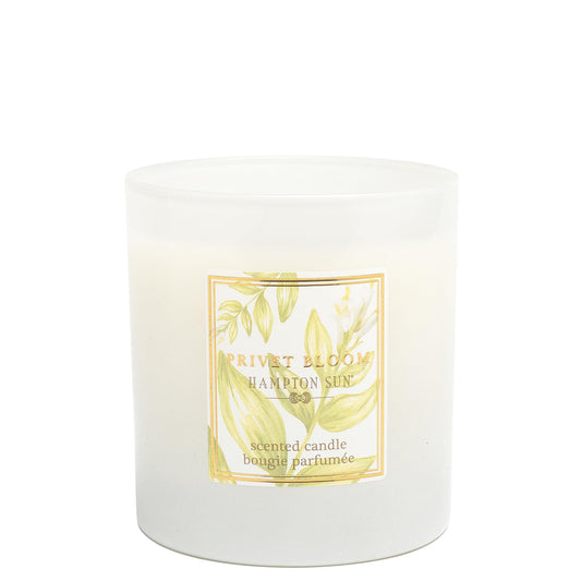 Hampton Sun Privet Bloom Candle