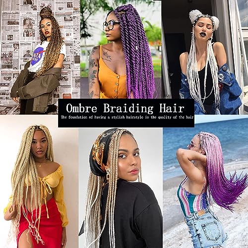 Xtrend 3 Pcs Braiding Hair Crochet Braids Hair 24 Inch Synthetic Jumbo Box Braids Hair Extension for Women 100g/pc (3 Pieces,1B#) …