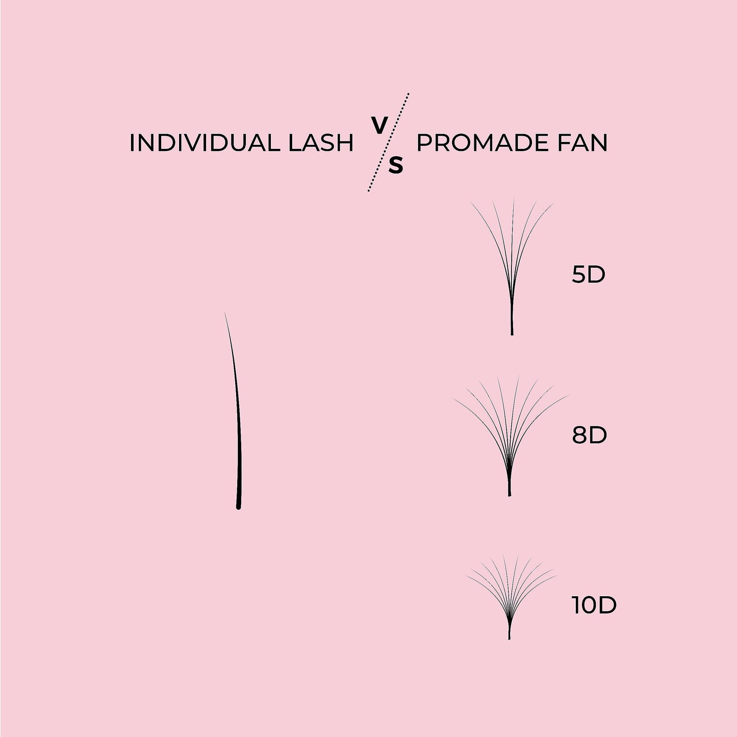 LLBA Promade Fans | Handmade Volume Eyelashes | Multi Selections From 3D To 16D | C CC D DD L M Curl | Thickness 0.03 ~ 0.1 mm | 8 - 20mm Length | Long Lasting | Easy Application (6D-0.05 D 12 mm)