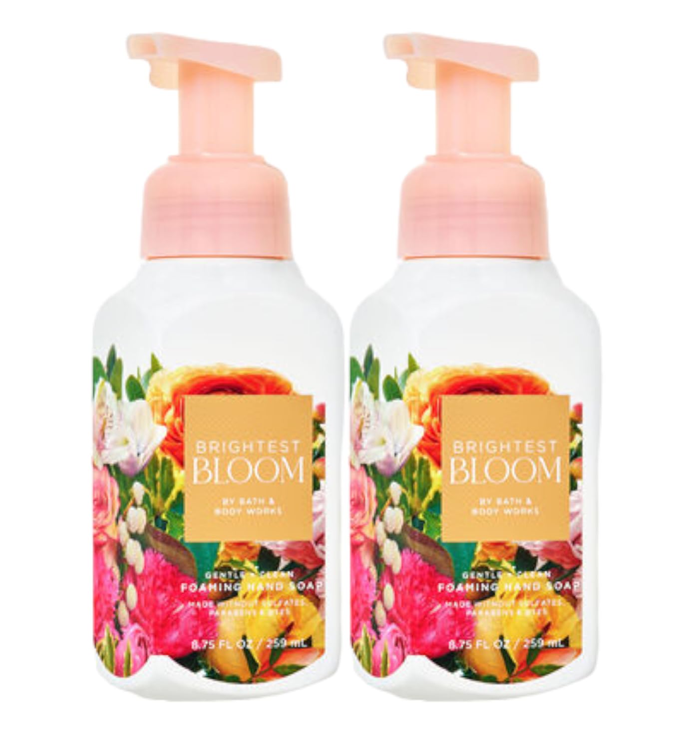 Bath and Body Works Gentle Foaming Hand Soap 8.75 Ounce 2-Pack (Brightest Bloom)