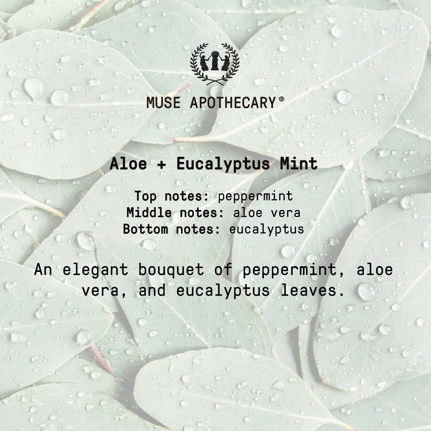 Muse Bath Apothecary Study Ritual - Aromatic and Invigorating Room Mist, 8 oz, Infused with Natural Essential Oils - Aloe + Eucalyptus Mint