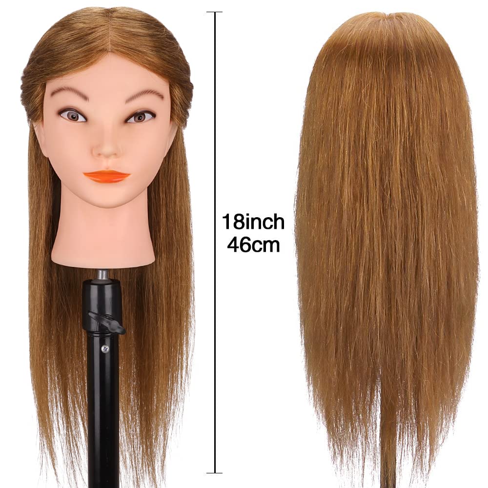 Mannequin Head with 100% Real Hair, TopDirect 18" Brown Real Hair Cosmetology Manikin Head Hair Styling Hairdressing Practice Training Doll Heads with Clamp Holder and Tools