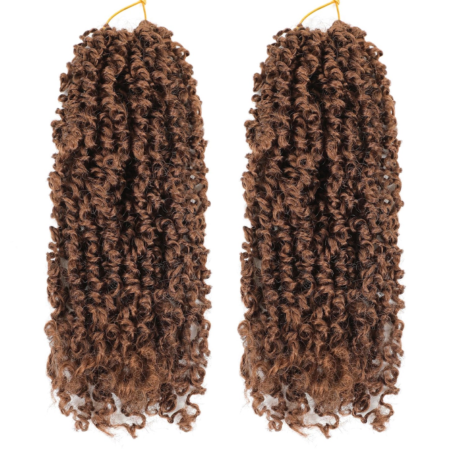 Fulcrum Yanky Mini Twist Crochet hair 10Inch, 2Packs Passion Twist Crochet Hair for black Women, Pre-Twisted Crochet Twist Hair with Curly Ends (10Inch, 30#)