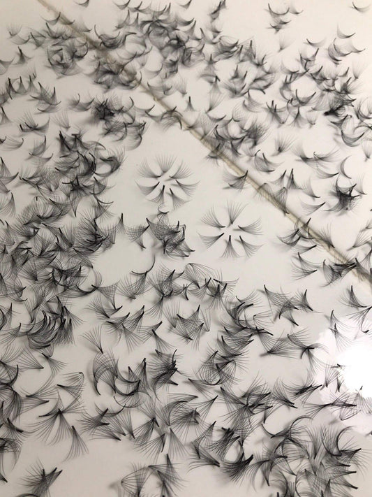 14D PREMADE (HAND MADE) FAN LASHES (500 FANS/TRAY) FOR EYELASH EXTENSION, D CURL, 0.05 THICKNESS, LENGTH FROM 10MM-15MM (D11mm14D)